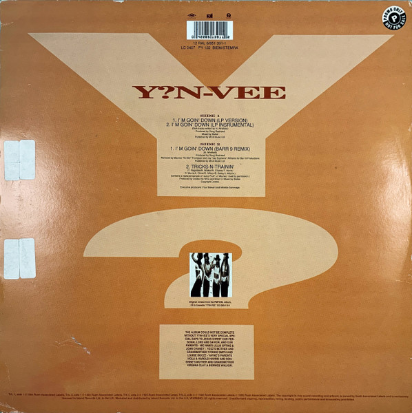 Y.N.V. - I'm Goin' Down | PMP Records (12 RAL 6) - 2