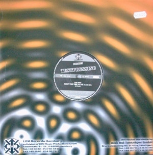 Project Testpressing - Keep The Vibe Alive | EDM Progressive (PR EDM 010-1)