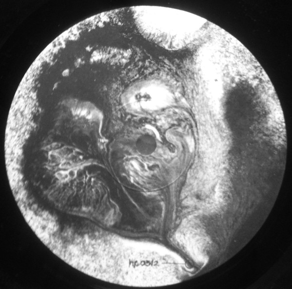 Various - La Fascination De La Musique Russe | Hijos de Puta Records (HP 0312) - 3