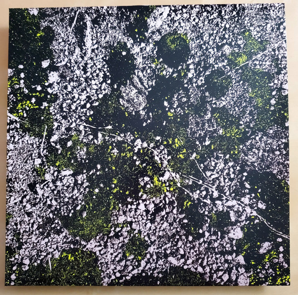 King Gizzard And The Lizard Wizard - Infest The Rats Nest (Live At Red Rocks 2022) | We Are Busy Bodies (WABB-160) - main King Gizzard And The Lizard Wizard - Infest The Rats Nest (Live At Red Rocks 2022) | We Are Busy Bodies (WABB-160) - main