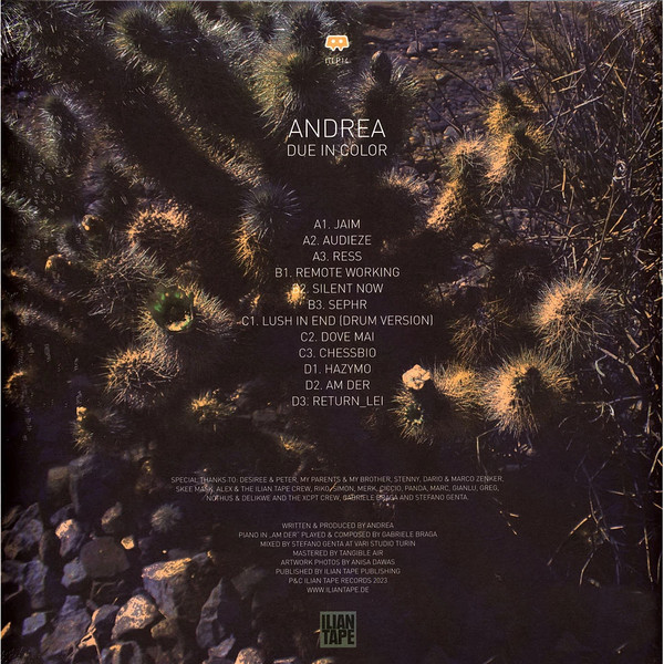 Andrea - Due In Color | Ilian Tape (ITLP14) - 2