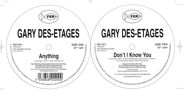 Gary Des'Etages - Anything | First Experience Records (FER TW11)