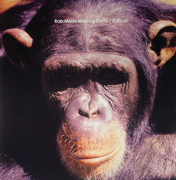 Rob Mello Featuring Stella Attar - Critical | Classic (CMC00)