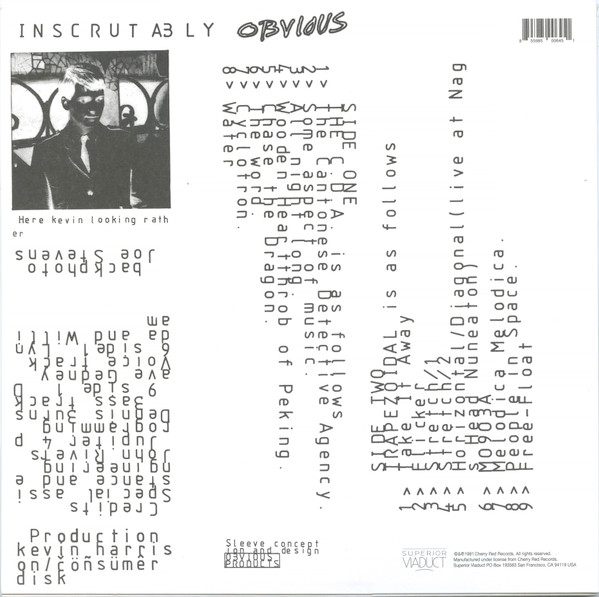 Kevin Harrison - Inscrutably Obvious | Superior Viaduct (SV145) - 2