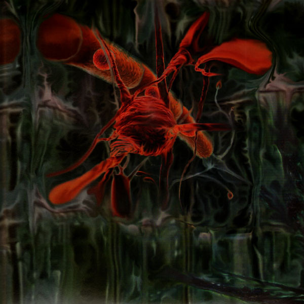 Peverelist - Jarvik Mindstate | Punch Drunk (DRUNK14)