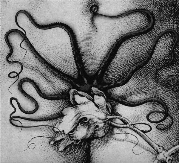 Pochette de Biche / Organon — Biche / Organon