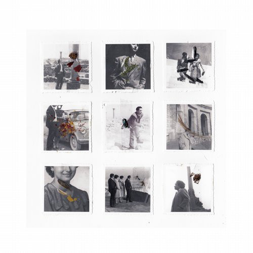 Reeko - Humans Or Animals EP | Pole Recordings (POLEGROUP48) Reeko - Humans Or Animals EP | Pole Recordings (POLEGROUP48)