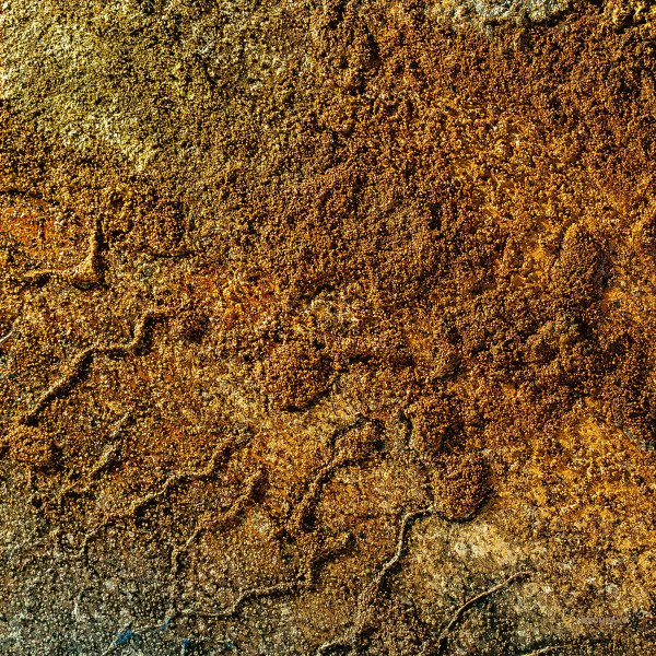 Various - Velvet Desert Music Vol. 2 | Kompakt (Kompakt CD 156)