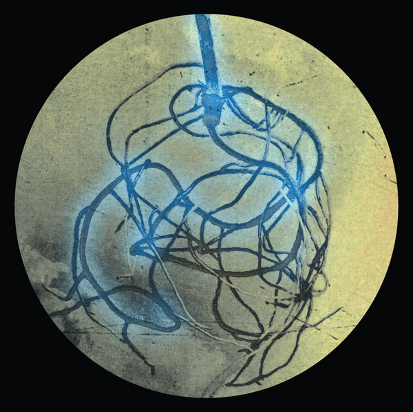 Guzman , Bassy Bee , Gastón Cabrera - The Roots E.P. | Zonate (ZON005) - 2