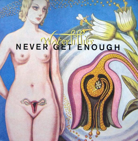 Waterlillies - Never Get Enough | Sire (0-41879) - 7