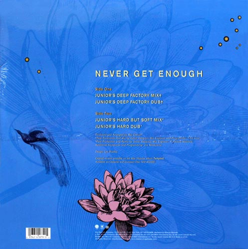 Waterlillies - Never Get Enough | Sire (0-41879) - 2