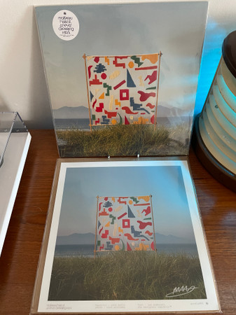 Matthew Halsall - An Ever Changing View | Gondwana Records (GONDLP062TCL)