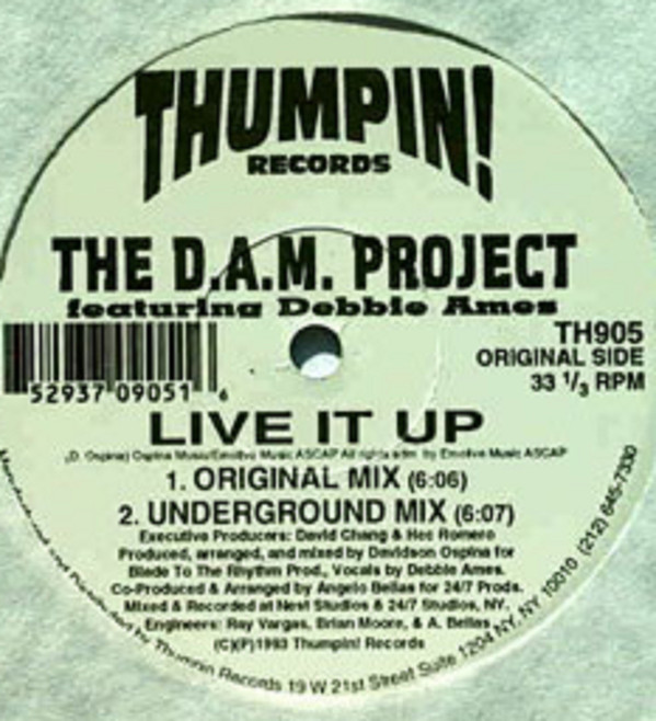 The D.A.M. Project Featuring Debbie Ames - Live It Up | Thumpin! Records (TH905) - 3