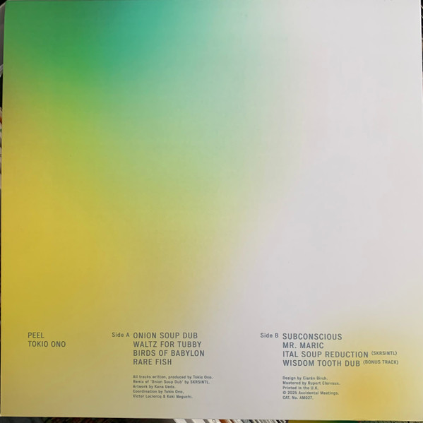 Tokio Ono - Peel | Accidental Meetings (AM027) - 2