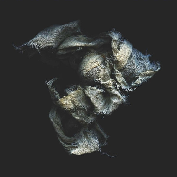 Tulipomania - This Gilded Age | Sursumcorda (none) Tulipomania - This Gilded Age | Sursumcorda (none)