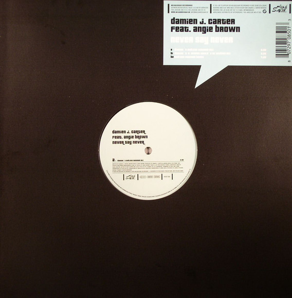 Damien J. Carter - Never Say Never | Milk & Sugar Recordings (MSR 058)