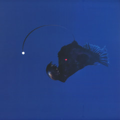 Michael Melchner - No Light Below | Omega Men (OMEN008)