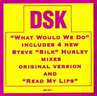 DSK - What Would We Do | FFRR (869 465-1) - 3