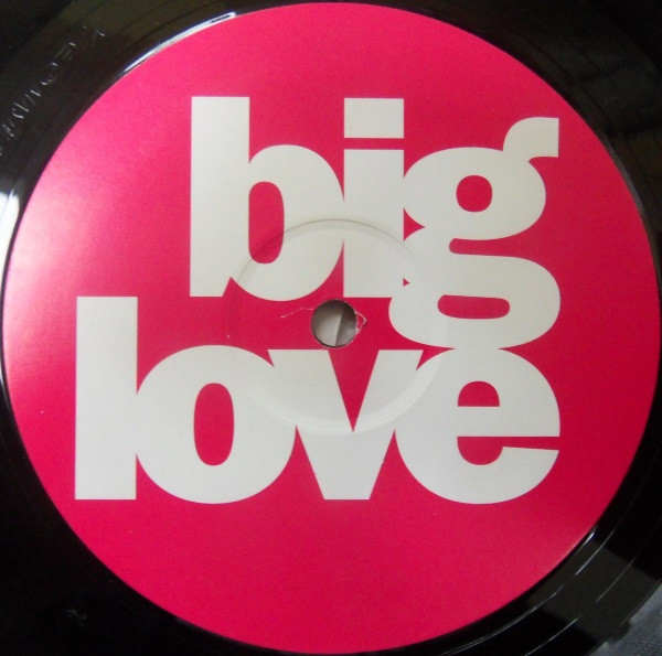 Seamus Haji - Last Night A DJ Saved My Life | Big Love (BL013) - 2
