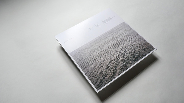 Andrea Borghi - Palsecam | Aposiopèse (APO 17) - 2 Andrea Borghi - Palsecam | Aposiopèse (APO 17) - 2