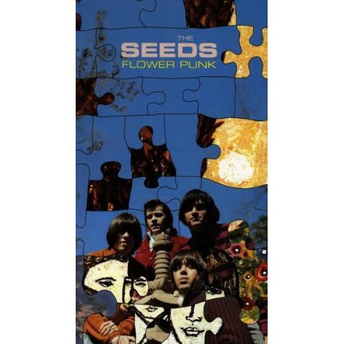 The Seeds - Flower Punk | Drop Out Records (FBOOK 16)