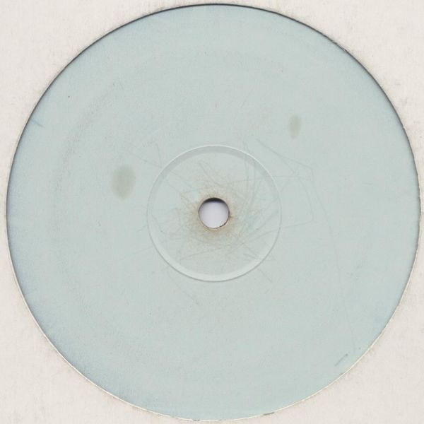 Digital Delinquents - 2 Do Anything | Not On Label (DD 001) - 2