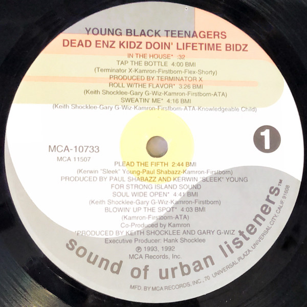 Young Black Teenagers - Dead Enz Kidz Doin' Lifetime Bidz | SOUL (MCA-10733) - 3