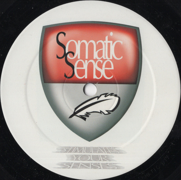 DJ Precision & Terry Bones - Another Situation | Somatic Sense (SOMATIC017) - 2 DJ Precision & Terry Bones - Another Situation | Somatic Sense (SOMATIC017) - 2