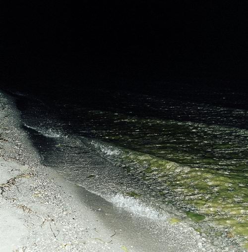 Pellarin - Oil On Aluminium #1: Tango EP | Statler & Waldorf (S&W06LP)