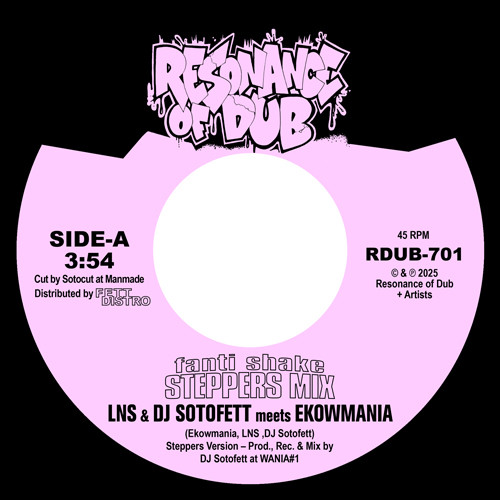 LNS & DJ Sotofett meets Ekowmania - Fanti Shake (Steppers Mix) / Step Eight | Resonance of Dub (RDUB-701) - main