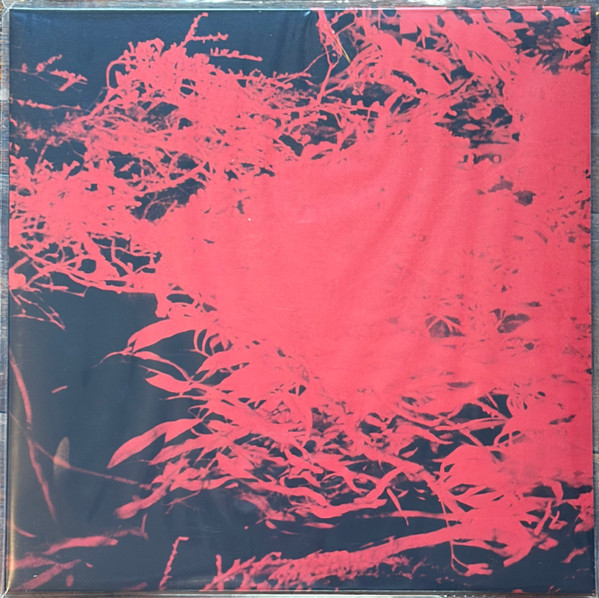 Anthony Naples - In Studio Magic | ANS (ANS8000) - 2