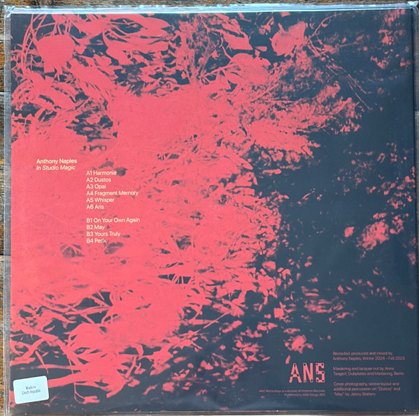 Anthony Naples - In Studio Magic | ANS (ANS8000) - 3