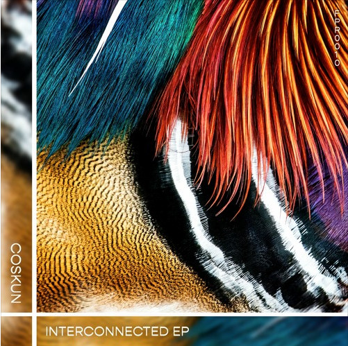Coskun - Interconnected EP | Featherprint Records (FPR010)