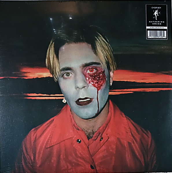 Choir Boy - Gathering Swans | Dais Records (DAIS 147)