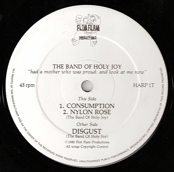 Band Of Holy Joy - Had A Mother Who Was Proud: And Look At Me Now | Flim Flam Productions (HARP 1T) - 4