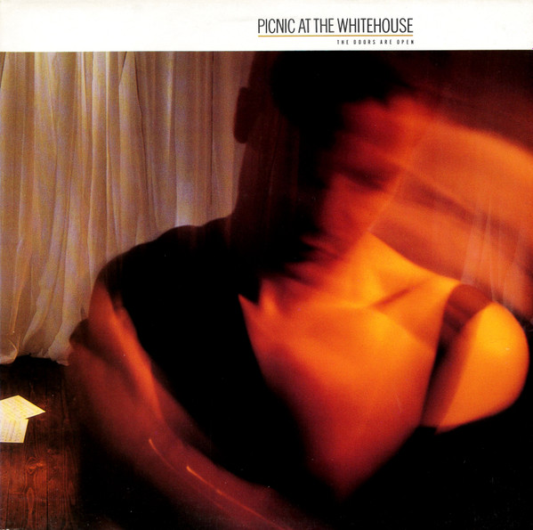 Picnic At The Whitehouse - The Doors Are Open | Portrait (450262 1)