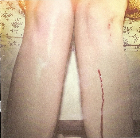 Los Campesinos! - Romance Is Boring | Wichita (WEBB239CD)