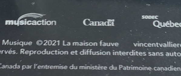 Vincent Vallières - Le Monde Tourne Fort | La maison fauve (FAUVE004LP) - 3