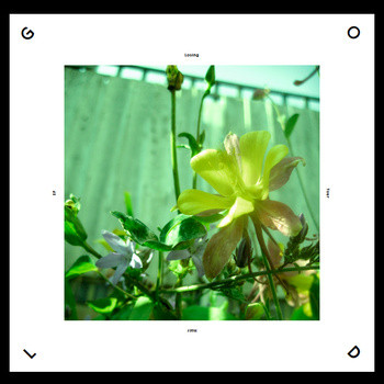 Gold - Losing Your Hair EP | Mammoth Cave Recording Co. (MCR-031)