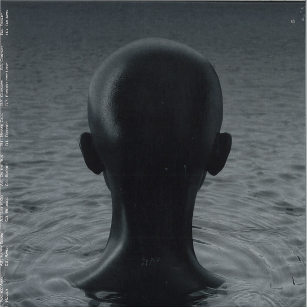 Kelela - Raven | Warp Records (WARPLP320) - 2