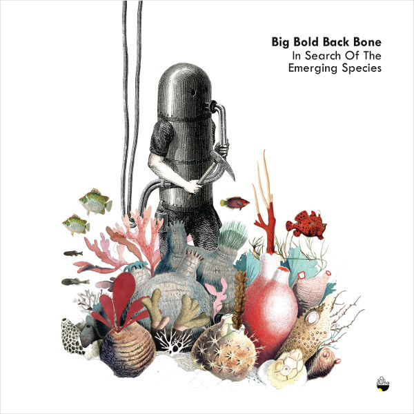 Big Bold Back Bone - In Search Of The Emerging Species | Shhpuma (SHH032LP) - main