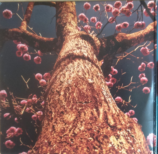 Filterwolf - Viva La Rave | Filigran (FIL027LP)