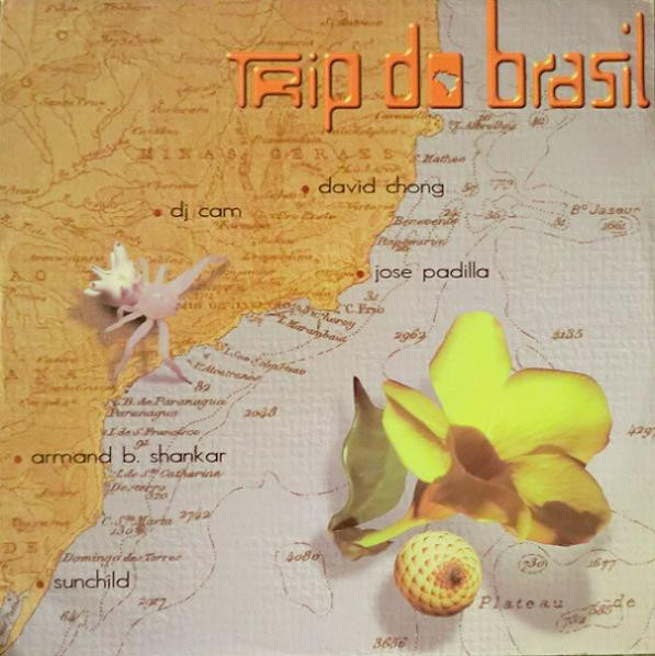Various - Trip Do Brasil - The Brasilian Flavor | RYTHMiX (tdB V1. 1. 1)