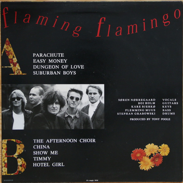 Janes Rejoice - Flaming Flamingo | It's Magic (1016) - 2