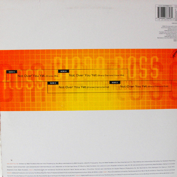 Diana Ross - Not Over You Yet | EMI (12EMX 553) - 2