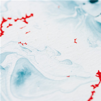 Primary Perception - Evidence Of A Primary Perception | SLOW LIFE (SL010LTD)