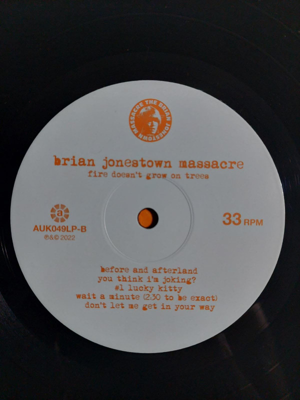 The Brian Jonestown Massacre - Fire Doesn't Grow On Trees | A Records (AUK049LP) - 4