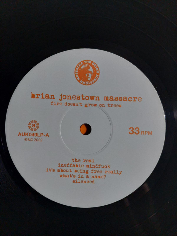 The Brian Jonestown Massacre - Fire Doesn't Grow On Trees | A Records (AUK049LP) - 3