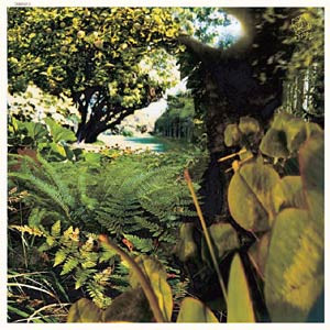 Puutarhassa / In The Garden