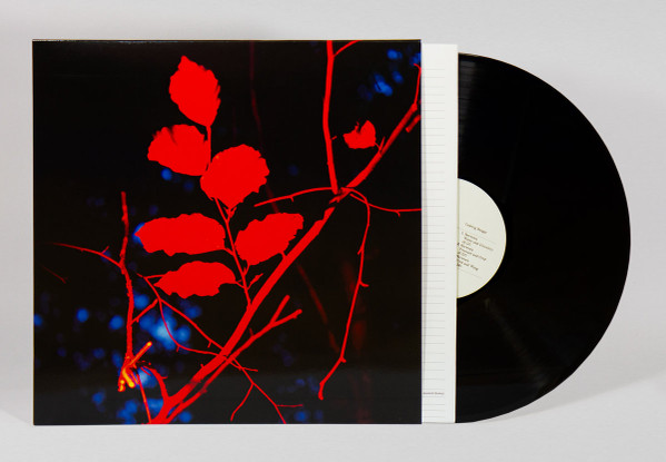 Ludwig Berger - Ecotonalities: No Other Home Than The In-Between | -ous (OUS057) - 2